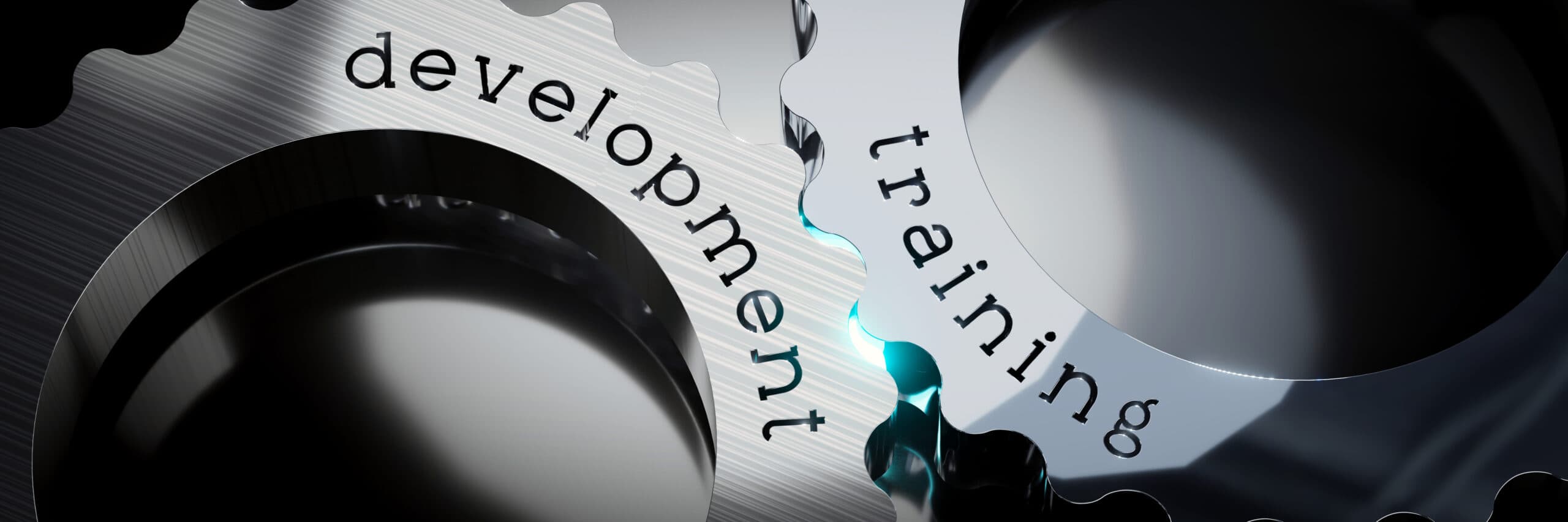 Proposta de treinamento e desenvolvimento para um pequeno grupo empresarial familiar