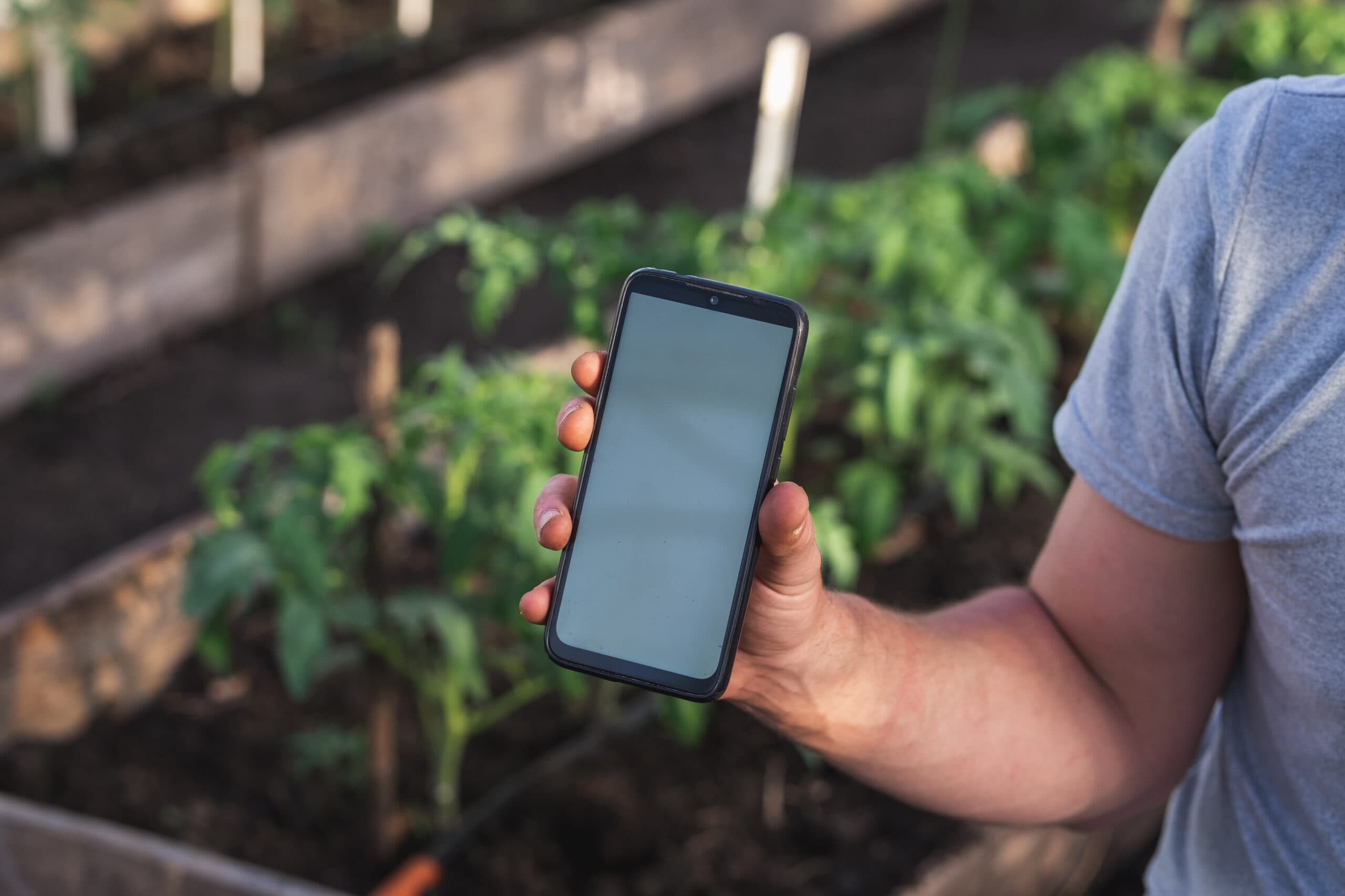 Aplicativo de delivery para venda de produtos saudáveis produzidos por agricultores familiares