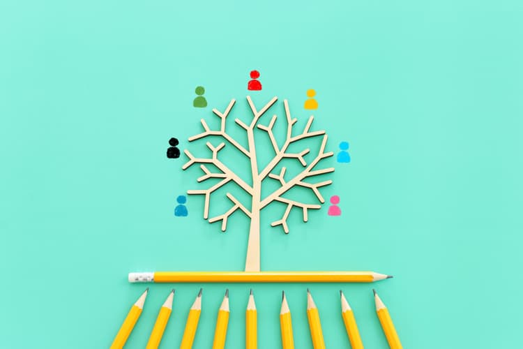 Imagem Alinhamento cultural entre organização e lideranças no setor da educação