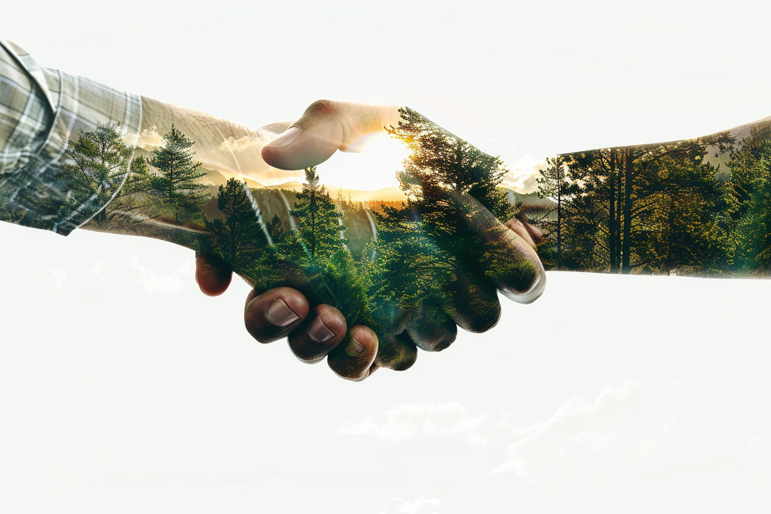 Comunicação estratégica em ambiente rural para a gestão de projetos florestais