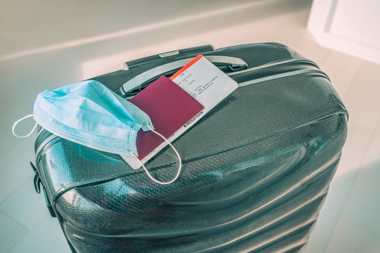 Imagem A pandemia de covid-19 e a demanda pelo transporte aéreo de passageiros em voos domésticos