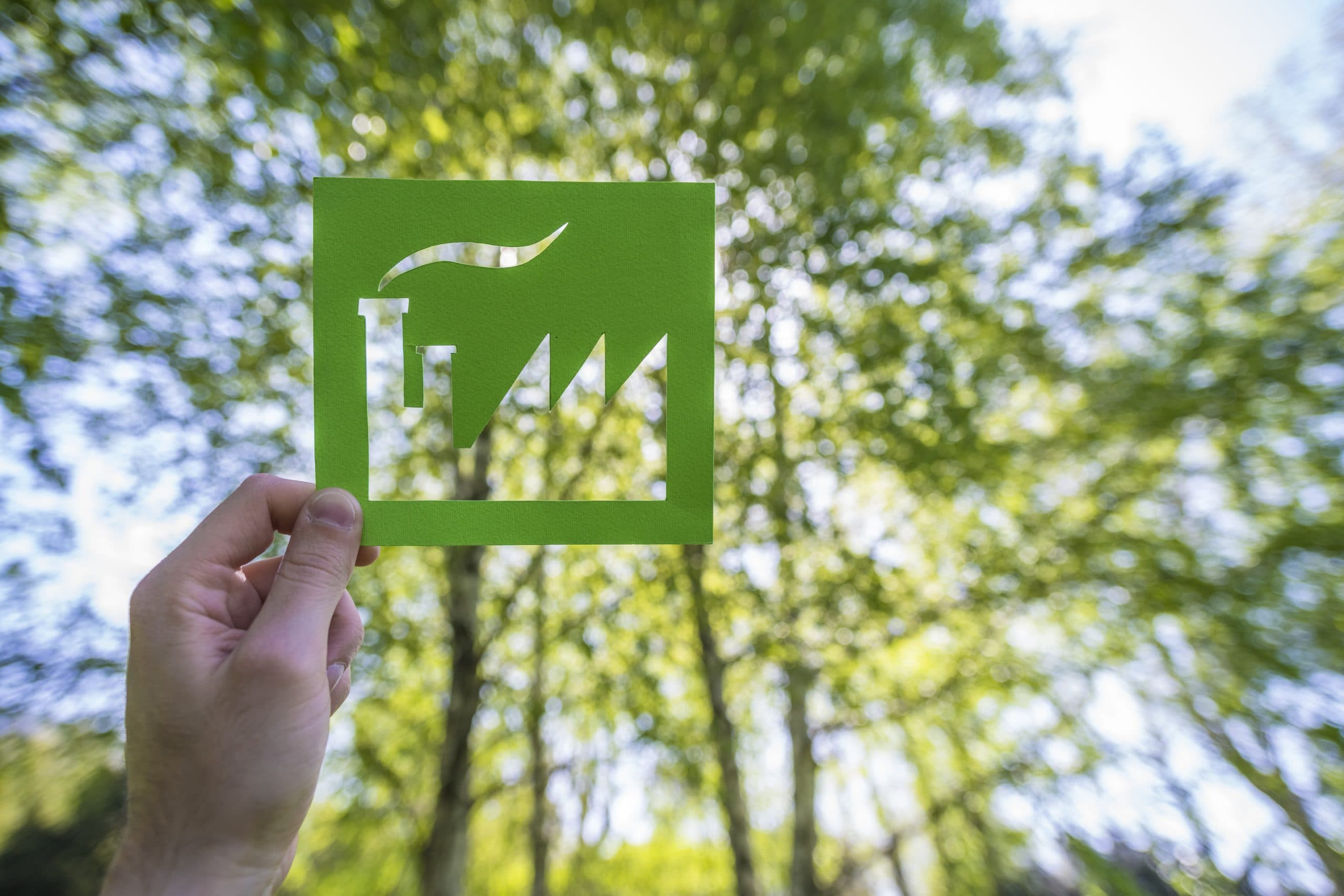 Práticas empresariais sustentáveis no setor de papel e celulose e a percepção do colaborador como “stakeholder”